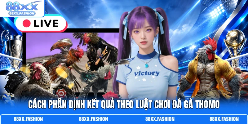 Cách phân định kết quả theo luật chơi đá gà Thomo