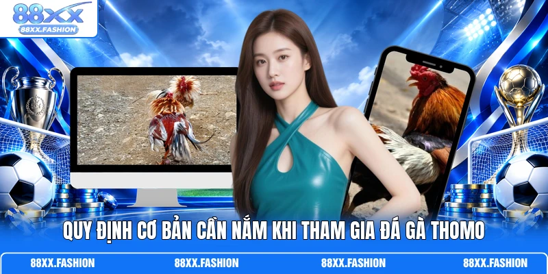 Quy định cơ bản cần nắm khi tham gia đá gà Thomo